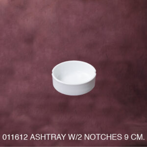 1011612 Astray with 2 Notches 9 cm.