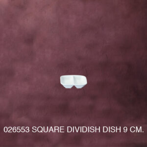 White Ware - Square Divided Dish 9 cm.