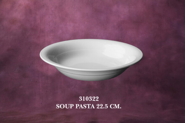 1310322 Soup/ Pasta Plate 22.5 cm.