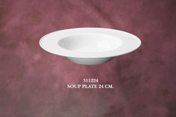 Soup Plate 24.5 cm.