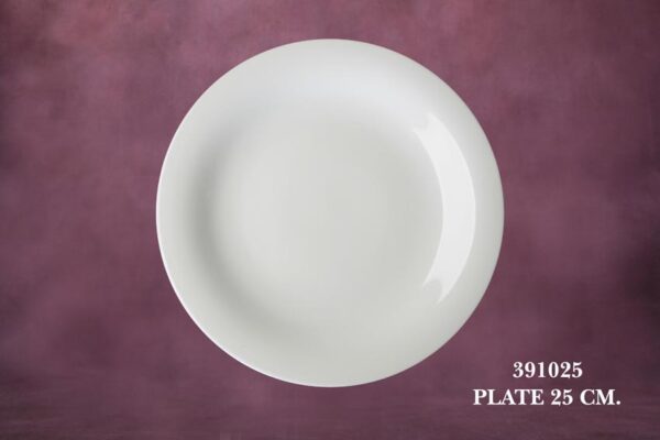 1391025 Plate 25 cm.
