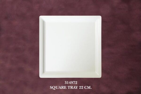 1434972 Square Tray 22 cm.