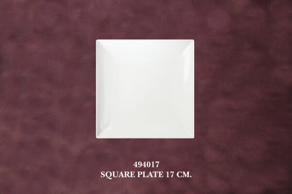 1494017 Square Coupe Plate 17 cm.