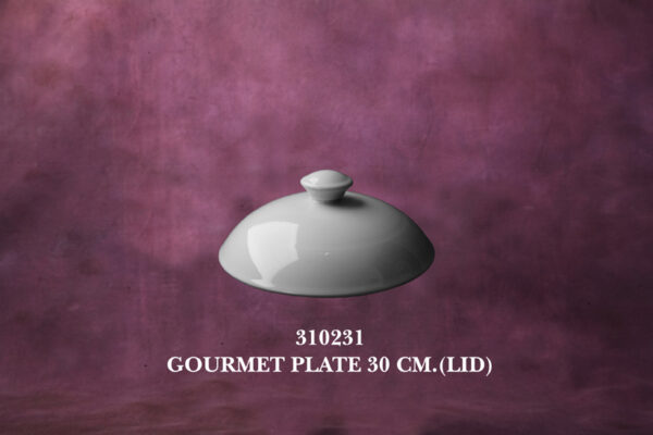 1310231 Gourmet Lid