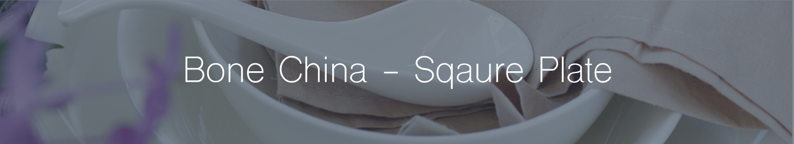 Broadcrumb-Bone_SquarePlate